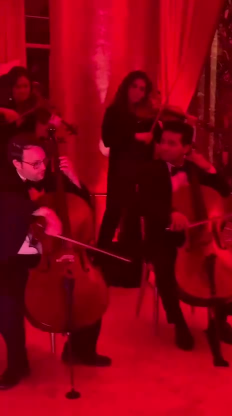 The Aurelia Strings — String Quartet